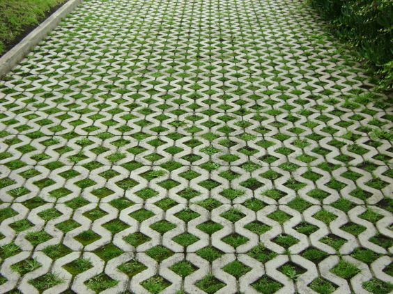 Grass pavers